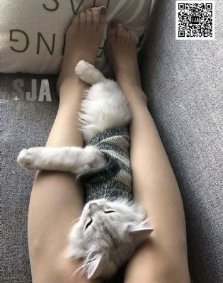 日韩美女直播间_超清在线观看视频