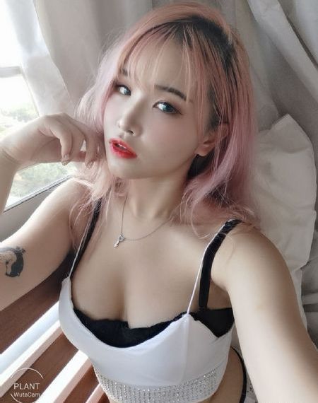国产又色又爽又黄的免费软件_高清在线观看高清